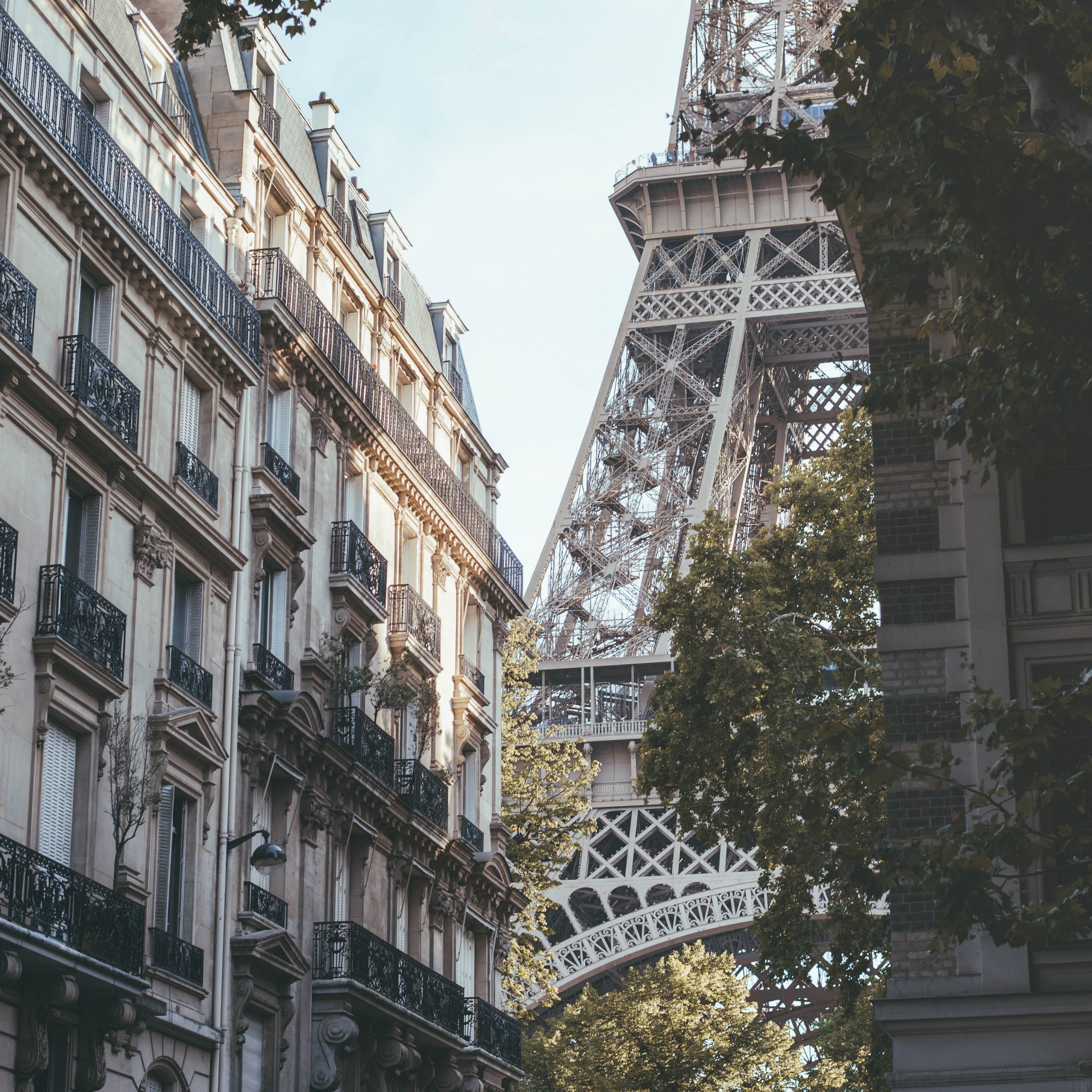 Best view of the Eiffel Tower from Rue de l'université
