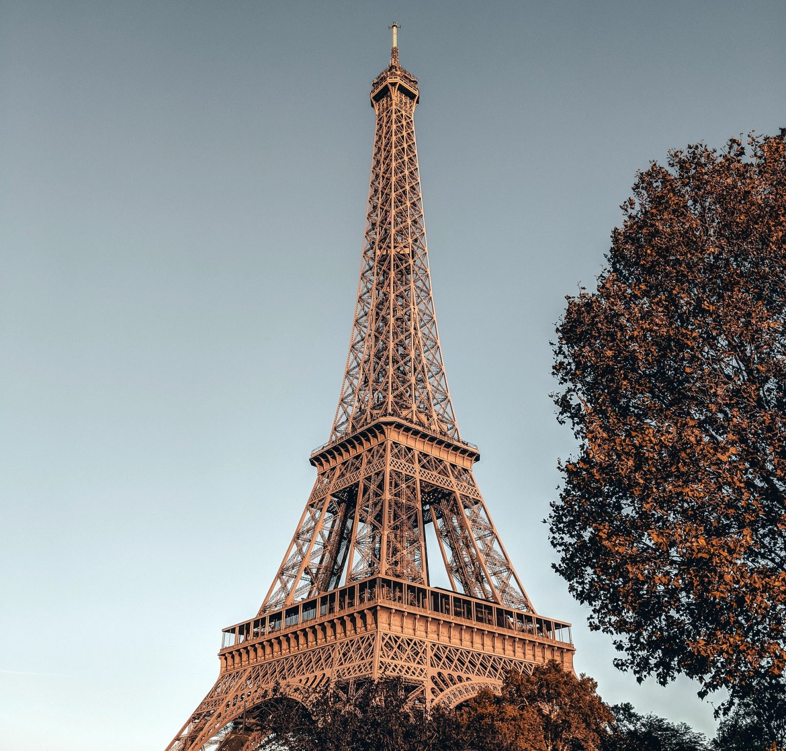 Where to Eat Near the Eiffel Tower for Couples – Eiffel Tower Tour
