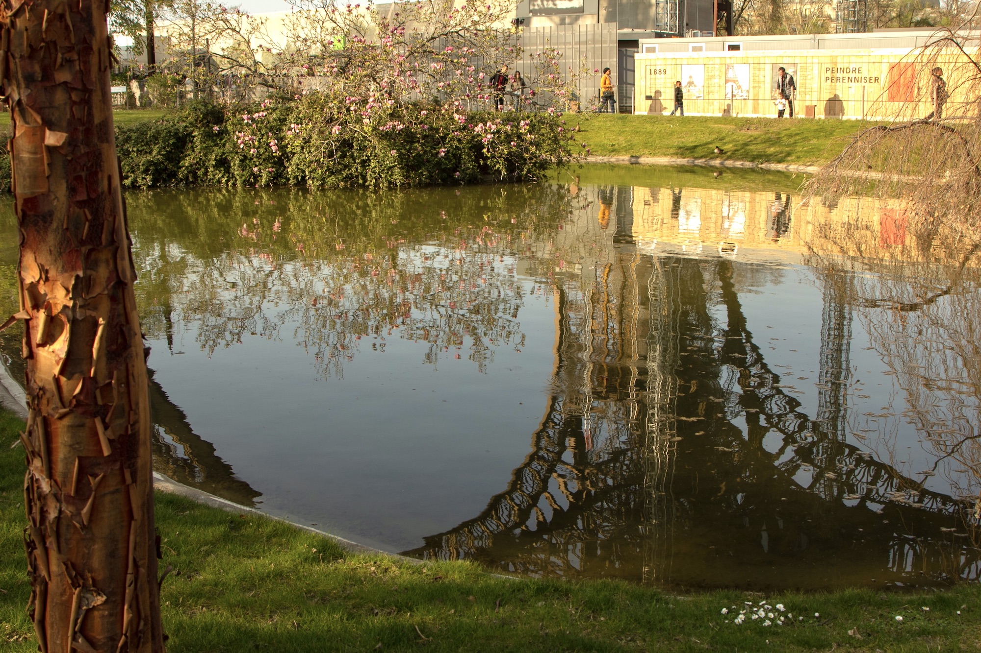 Reflection in west garden pond