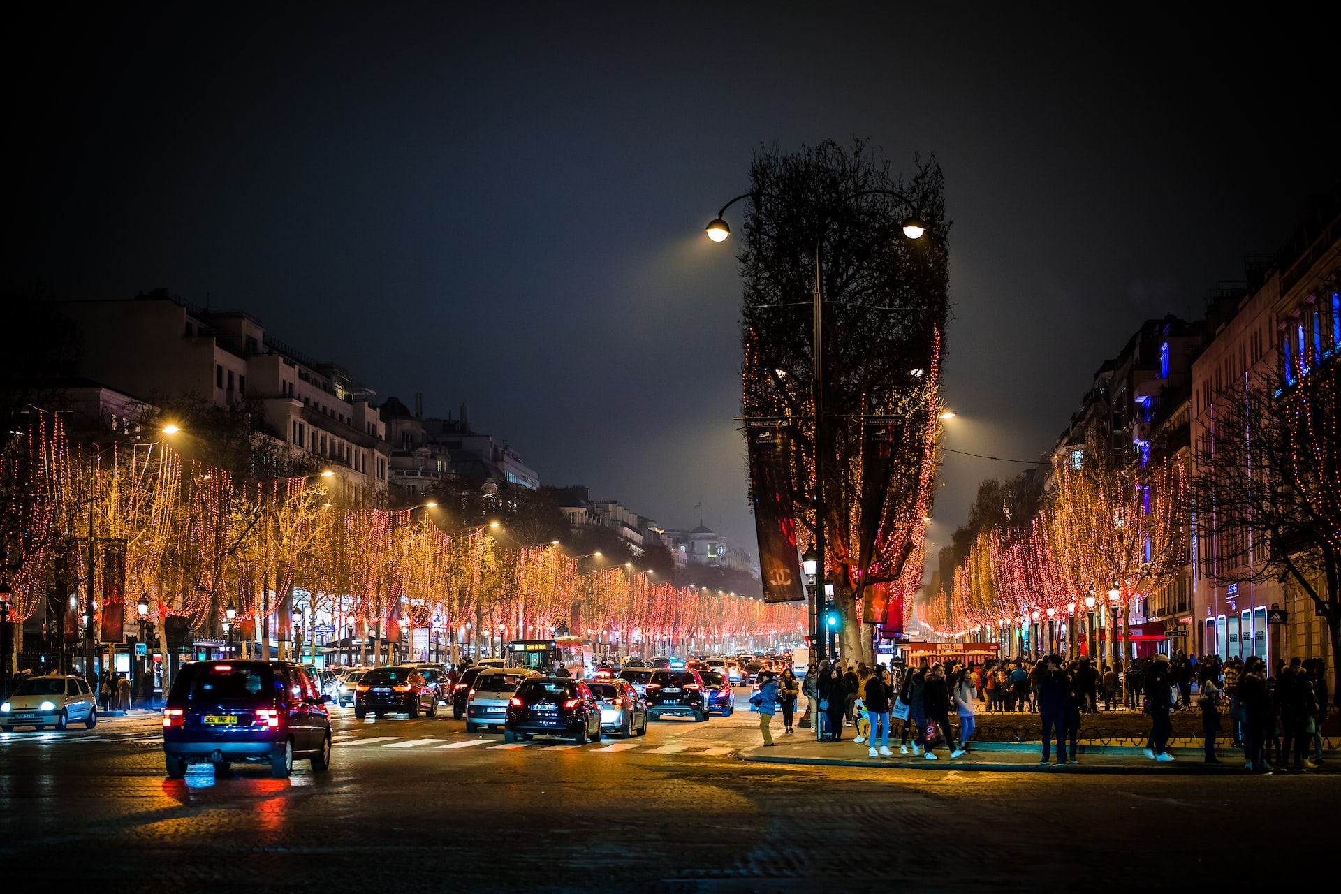 Paris Christmas Lights